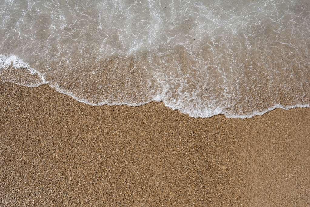 The David Kempinski Tel Aviv Nature photo